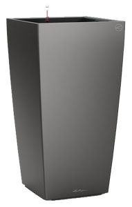 Cubico Maxi Antracit