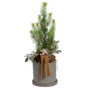 Juledeko. 44, Alternativt juletræ i potte