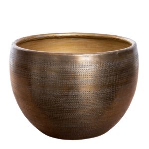Polaris Metal Gold lille Guld