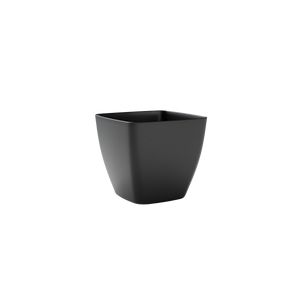 Ceylon Ash L40 B40 H36