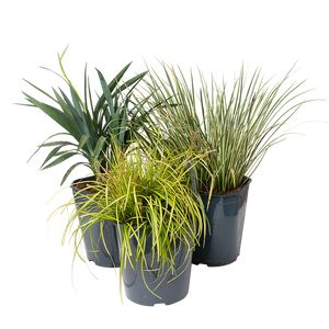 Helt Naturligt Græs Mix Ø17