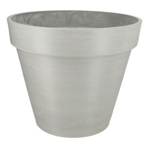 Bonin Grå