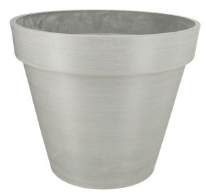 Bonin Grå