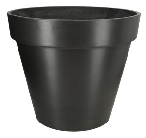 Bonin Sort Mat