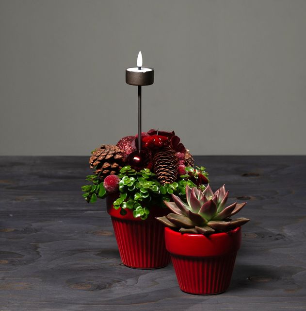 Jul 2026 - nr. 19 - Rød m. echeveria