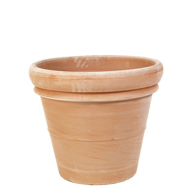 Terracotta Heavy Rim Terracotta