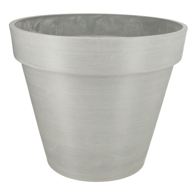 Bonin Grå