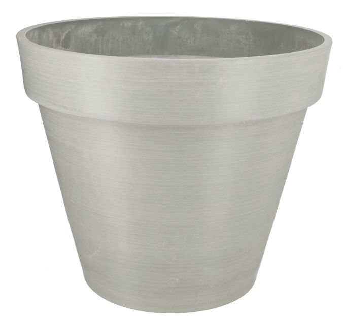 Bonin Grå