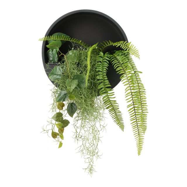 Wallhanger Ø40 m/naturtro planter Sort (DEKO1021)