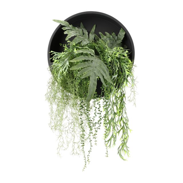 Wallhanger Sort Ø50 m/Naturtro Planter 