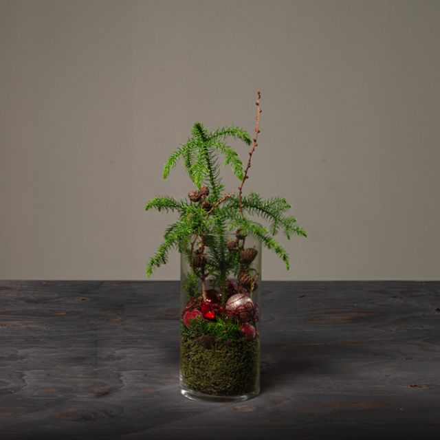Jul 2026 - nr. 16 - Rød glas m. araucaria